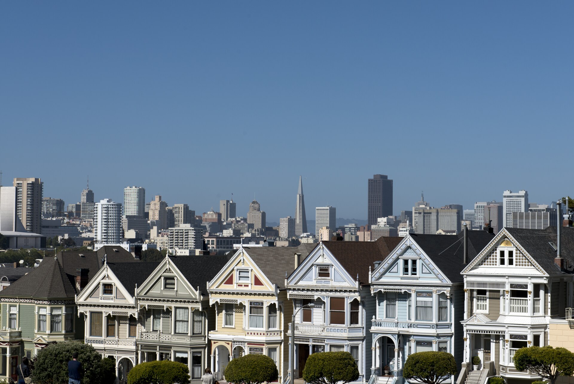The Painted Ladies, a row of Victorian houses on Steiner Street facing Alamo Square
